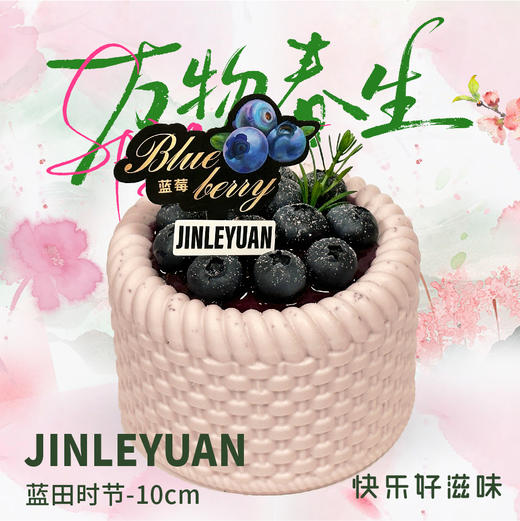 蓝田拾节-10cm 商品图0
