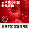 【日配鲜食】Driscoll's怡颗莓树莓 125g 颗颗饱满 营养丰富 富含花青素（下单后3日内提配） 商品缩略图3