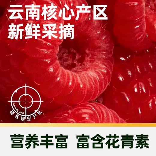 【日配鲜食】Driscoll's怡颗莓树莓 125g 颗颗饱满 营养丰富 富含花青素（下单后3日内提配） 商品图3