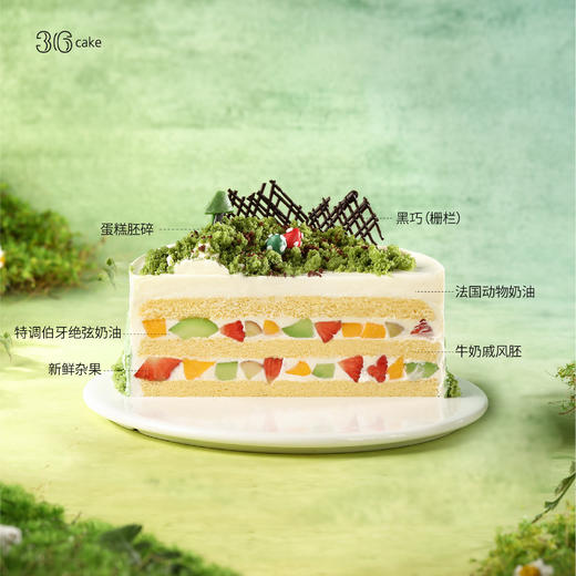 白羊座 ∙ 游春野 ∙ 伯牙绝弦鲜果蛋糕 商品图3