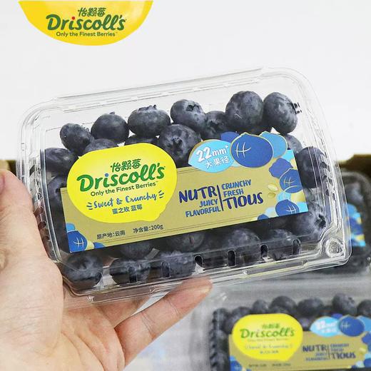 【日配鲜食】Driscoll's怡颗莓22mm 200g/盒 巨无霸蓝莓 应季新鲜水果 一口脆爽暴爽 过瘾（下单后3日内提配） 商品图3
