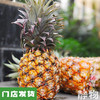 有机金钻凤梨｜海南   商品缩略图0