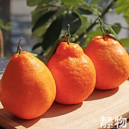 有机耙耙柑1000g｜四川蒲江 商品图3