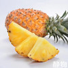 有机金钻凤梨｜海南   商品缩略图9