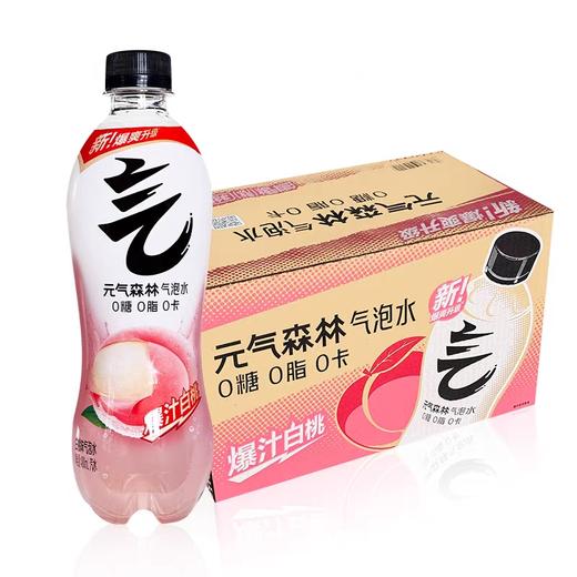 元气森林气泡水饮料 480ml*15瓶/件 商品图0