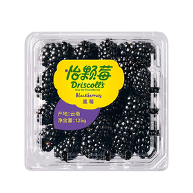 【日配鲜食】Driscoll's怡颗莓黑莓 125g 颗颗饱满 营养丰富 富含花青素（下单后3日内提配）