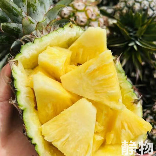 有机金钻凤梨｜海南   商品图7