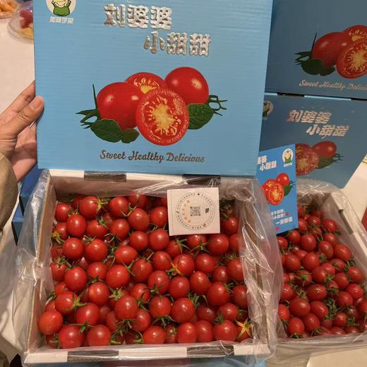 刘婆婆小甜甜千禧 小番茄 圣女果 好吃的甜番茄 商品图1