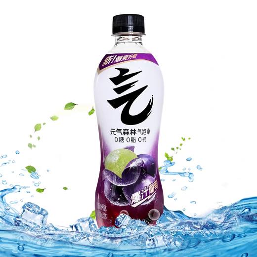 元气森林气泡水饮料 480ml*15瓶/件 商品图3