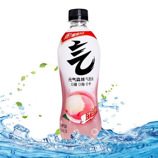 元气森林气泡水饮料 480ml*15瓶/件 商品图2