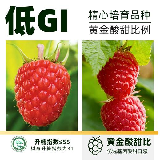 【日配鲜食】Driscoll's怡颗莓树莓 125g 颗颗饱满 营养丰富 富含花青素（下单后3日内提配） 商品图1