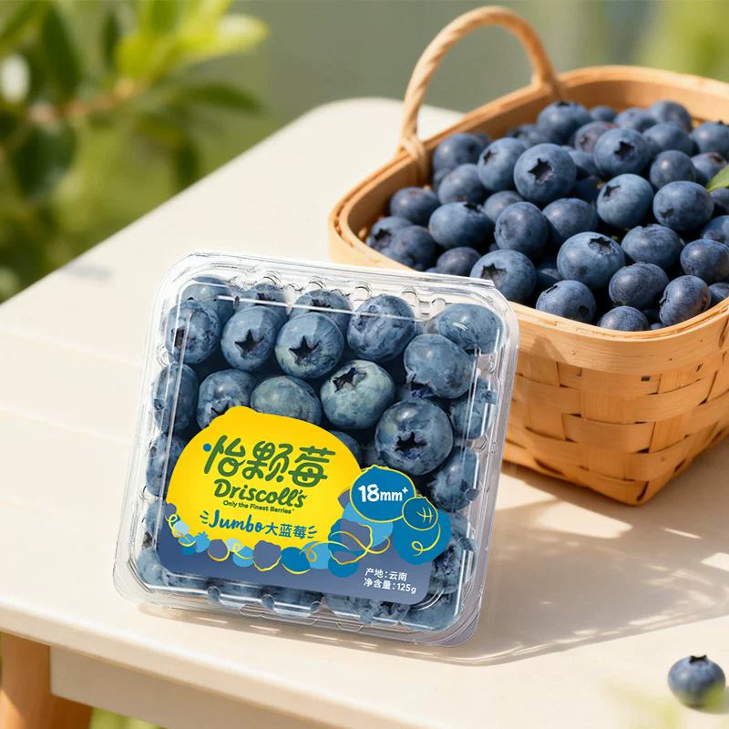 【日配鲜食】Driscoll's怡颗莓18mm 125g/盒 新鲜脆甜 果肉饱满 （下单后3日内提配）