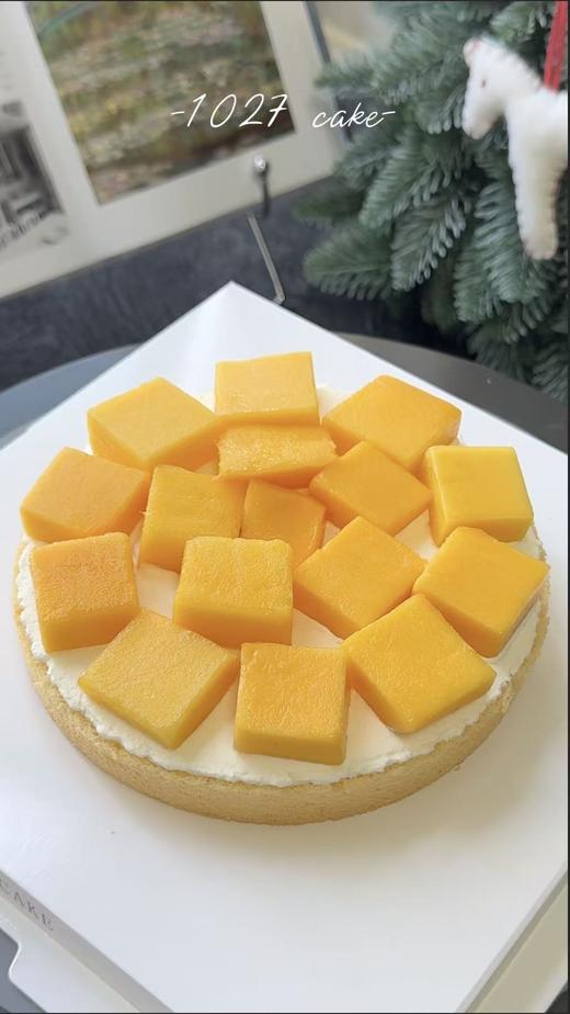1027CAKE |  缤纷水果千层蛋糕 多多的水果 商品图6