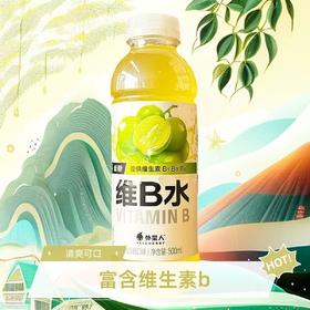 元气森林气外星人维B水（阳光青提口味)500ml