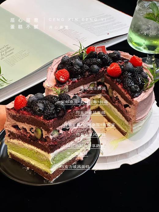 开心桑葚 商品图2