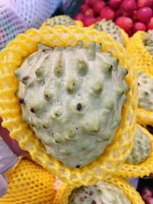 释迦一个 商品图0