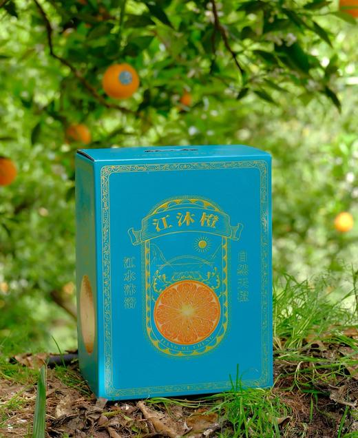江沐橙®清江晚橙 商品图4