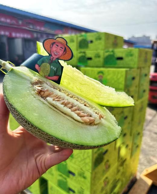 青蒂蜜瓜（超甜） 商品图2