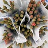 基地直营-国产郁金香-世界真爱-10支 商品缩略图0