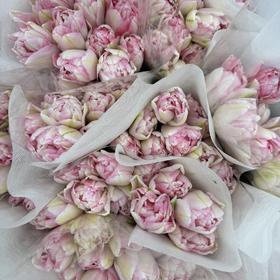 基地直营-国产郁金香-狐狸舞步-10支