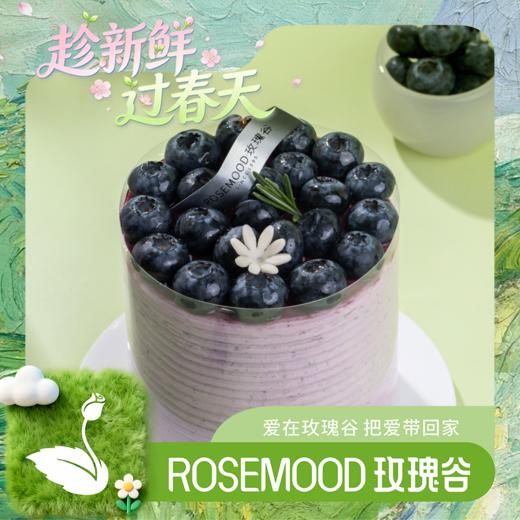 蓝莓分享 商品图0