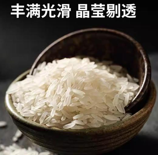 金元宝盘锦大米-25kg/袋 商品图0