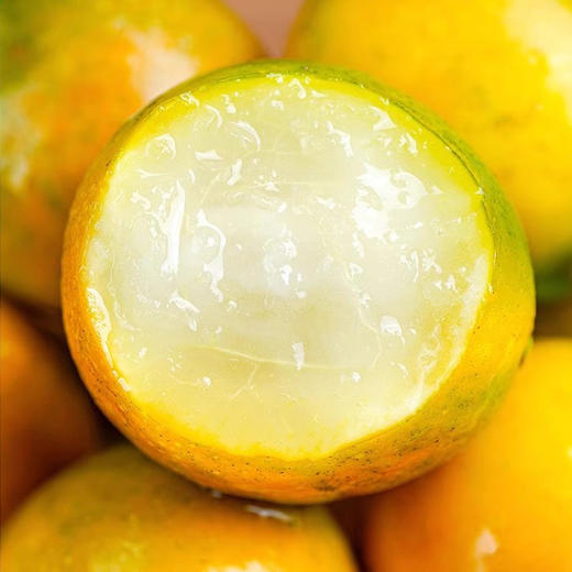 脆蜜金柑（盒装）500g 商品图1