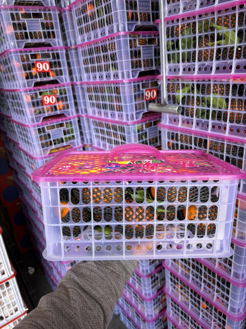 16.8元一件湖北秭归脐橙毛重约7-7.5斤