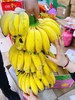 苹果蕉一串 商品缩略图0