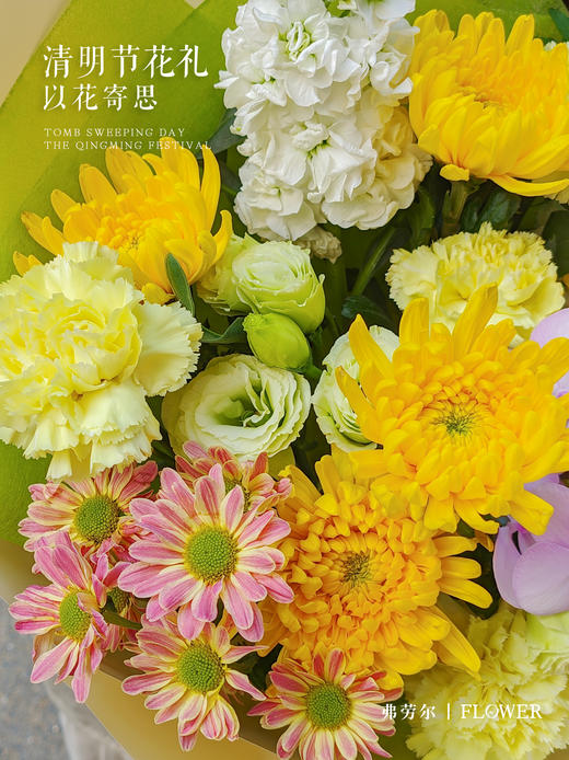 清和念安 商品图1