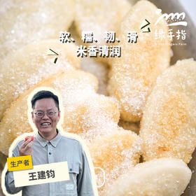 生态云饵粑粑（年糕）|  合作生产 *Ecological Cloud Worm Pudding | Partner Production