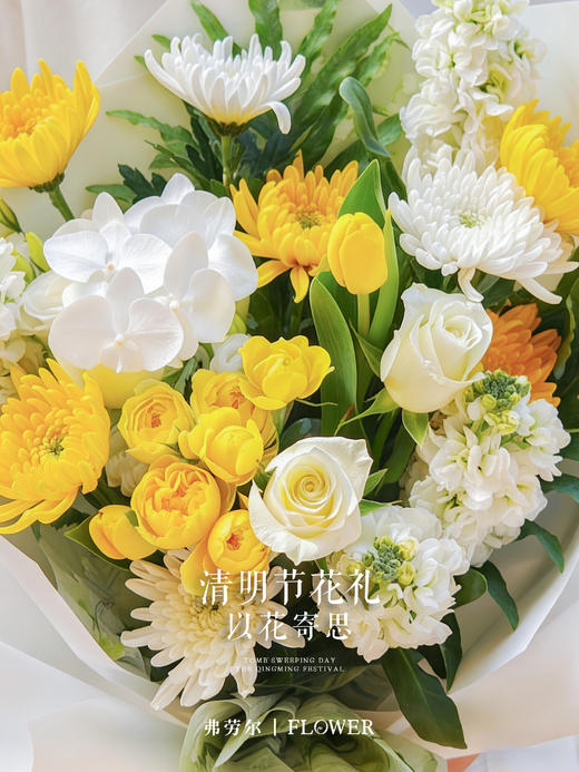 静语寄怀 商品图1