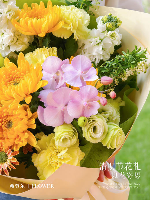 清和念安 商品图2