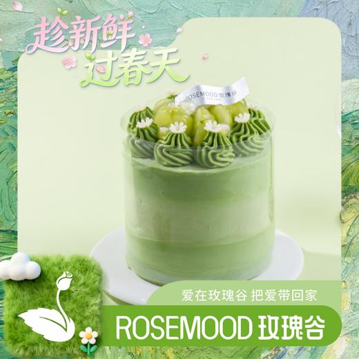 抹茶青提分享 商品图0