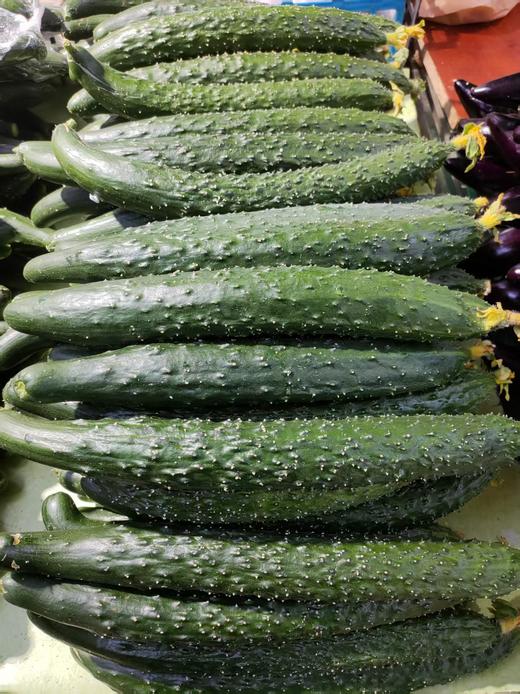 水黄瓜2斤 商品图0