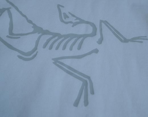 SZN男女同款印花Logo长袖圆领T恤 商品图8