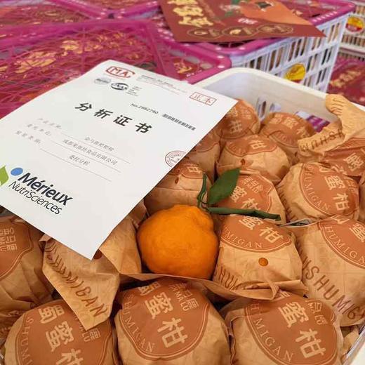 金马鹿「耙耙柑」散装 5个约1kg 商品图9