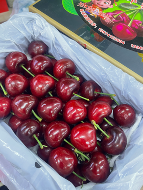 美早大樱桃一箱