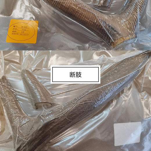 【特价促】梅花鹿头茬二杠小枝鹿茸 特价残鹿茸 存在切断枝、破皮、角上长新枝包或花皮等 15元/克 售出不退换【可免费提供打粉服务】 商品图1