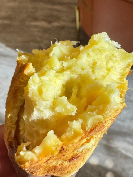 海南桥头圆果地瓜 商品图2