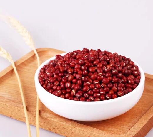 孟克河有机红小豆 商品图0