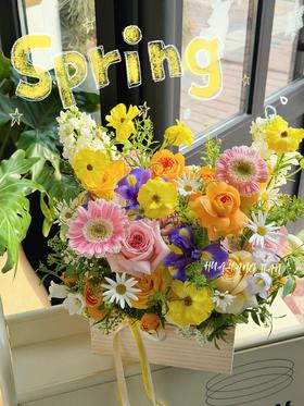 春日的花园·花盒