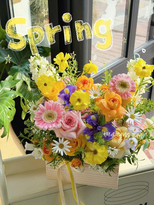春日的花园·花盒 商品图0