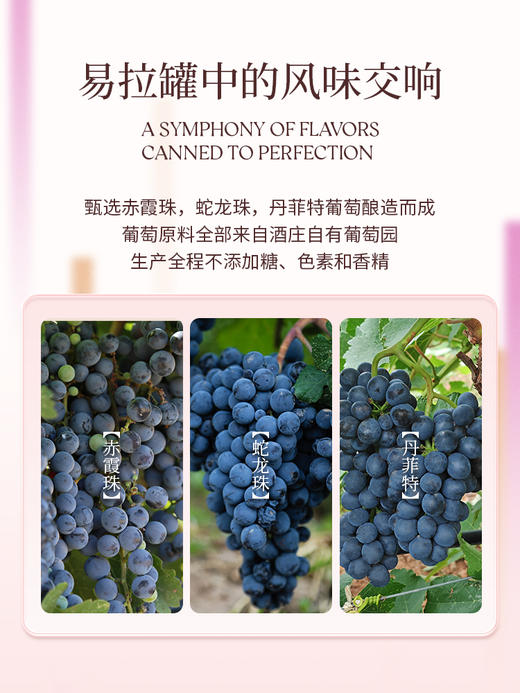 190ml西鸽N18干红葡萄酒 商品图2