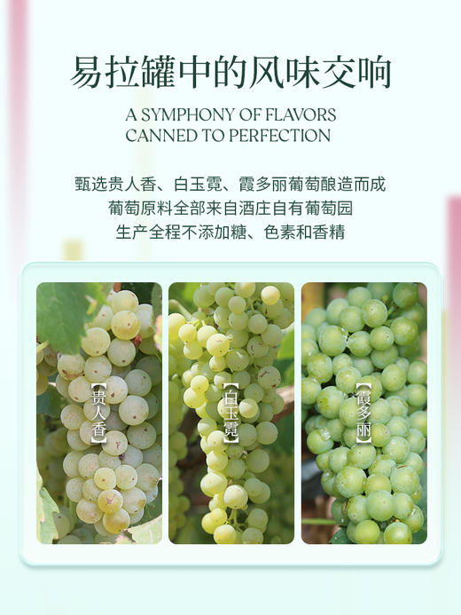 190ml西鸽N18干白葡萄酒 商品图3