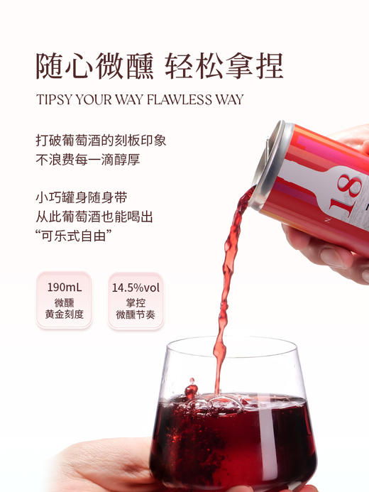190ml西鸽N18干红葡萄酒 商品图1