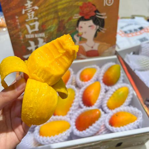 海南空运贵妃芒 芒果 甜 芒果味浓郁 商品图2
