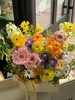 春日的花园·花盒 商品缩略图2