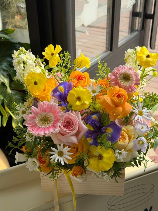 春日的花园·花盒 商品图2