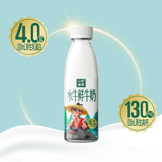 皇氏乳业皇氏水牛鲜牛奶260ml×12瓶 商品图6